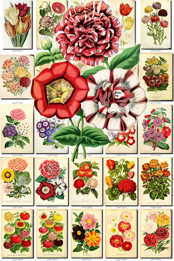 Multi Colored 2 Bouquets Flowers Collection Of 200 Vintage Etsy
