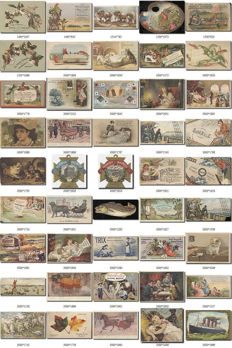 EPHEMERA1 Collection with 400 vintage advertising trading Etsy