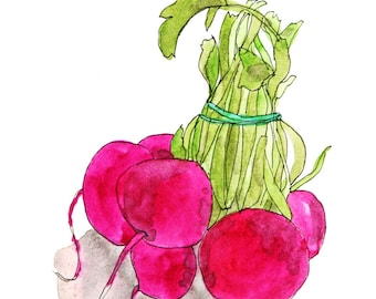Digital print of a drawing "radishes", 10 x 15 cm