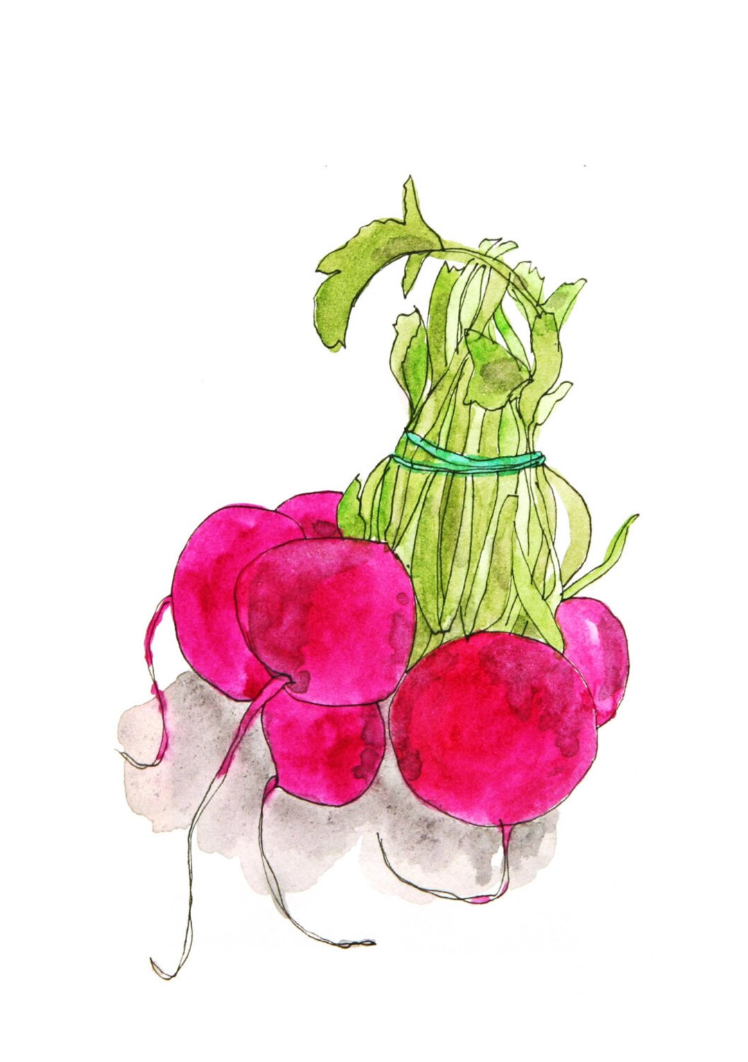 Digital Print of a Drawing radishes A5 Etsy Denmark