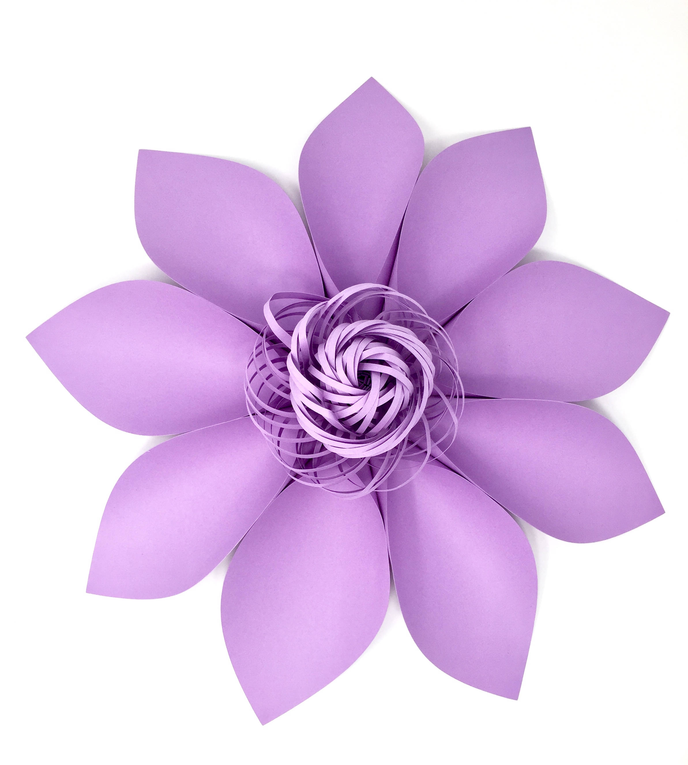 Free Free 105 8 Petal Flower Svg SVG PNG EPS DXF File