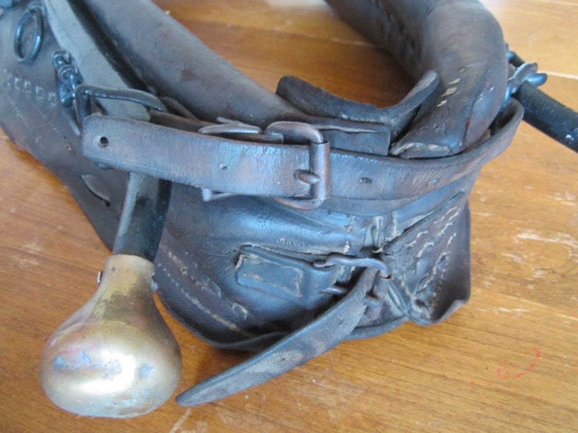 Antique Leather Horse Harness With Hames And Brass Balls Etsy
