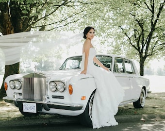 Cathedral Veil, Chapel veil, Raw edge, plain edge, single tier, long bridal veil, ivory veil, diamond white veil, bridal veil. Style #156