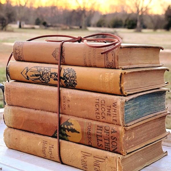 Collection de livres vintage beiges et marron, Set de 5