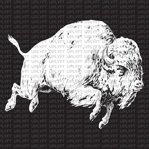 American Buffalo Vector SVG PDF Clip Art.  Uitstekende IllustratieTekening. Commercieel gebruik toegestaan.