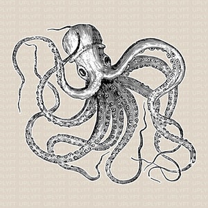 Octopus SVG Vector Art.  A Vintage Illustration for Commercial Use.
