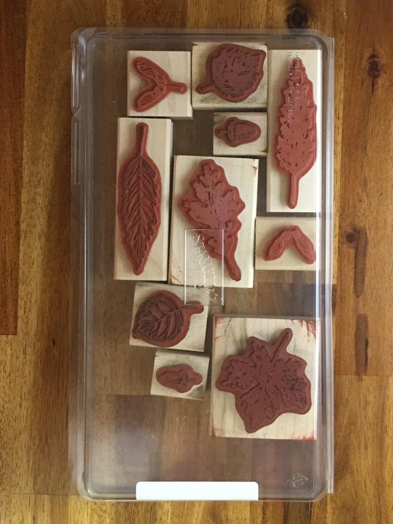 Stampin/' UP Gently Falling FREE SHIPPING!