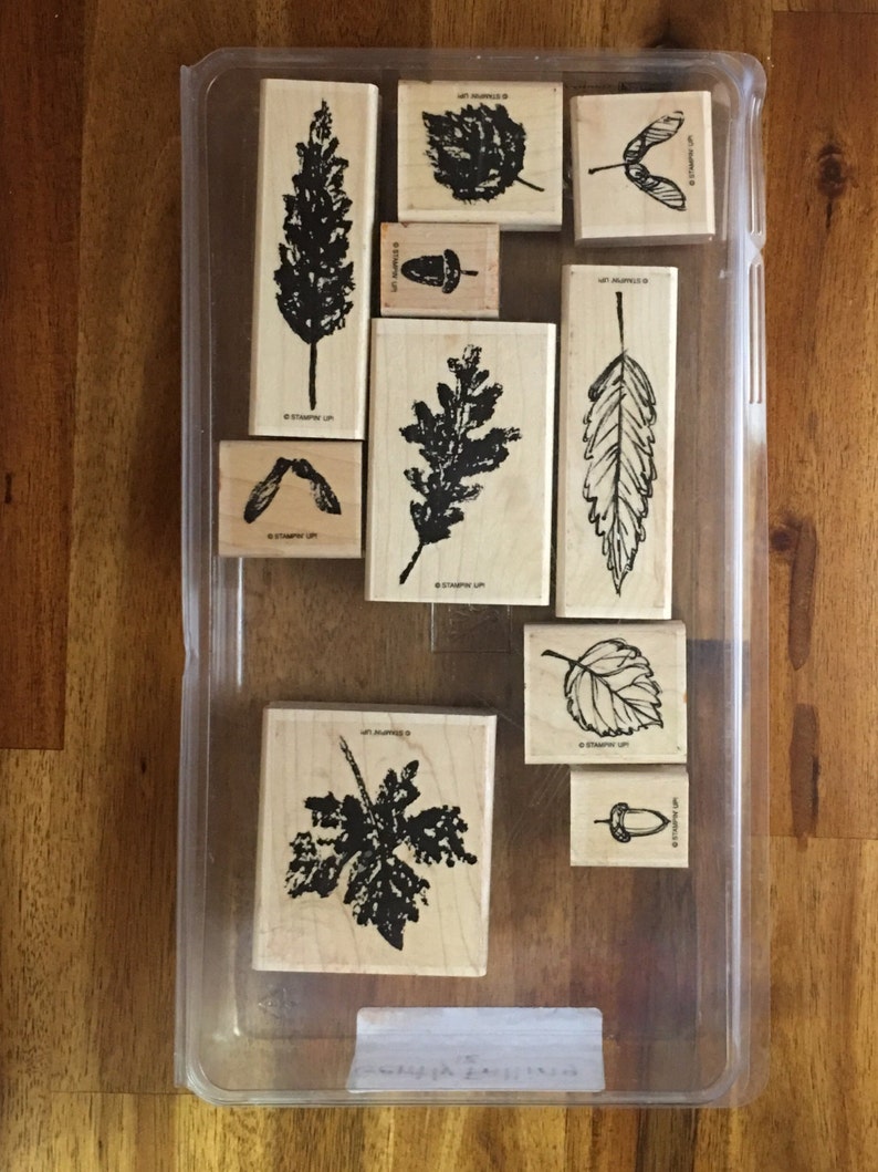 Stampin/' UP Gently Falling FREE SHIPPING!