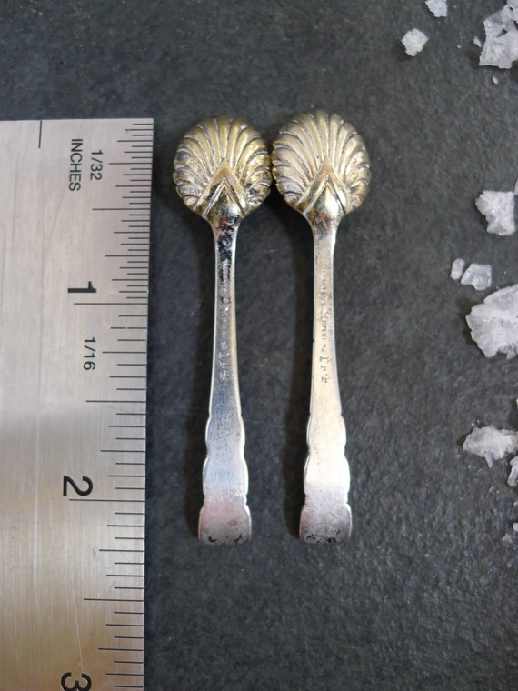 Antique Tiffany & Co Sterling Set of 2 Salt Spoons Rare Sea Shell