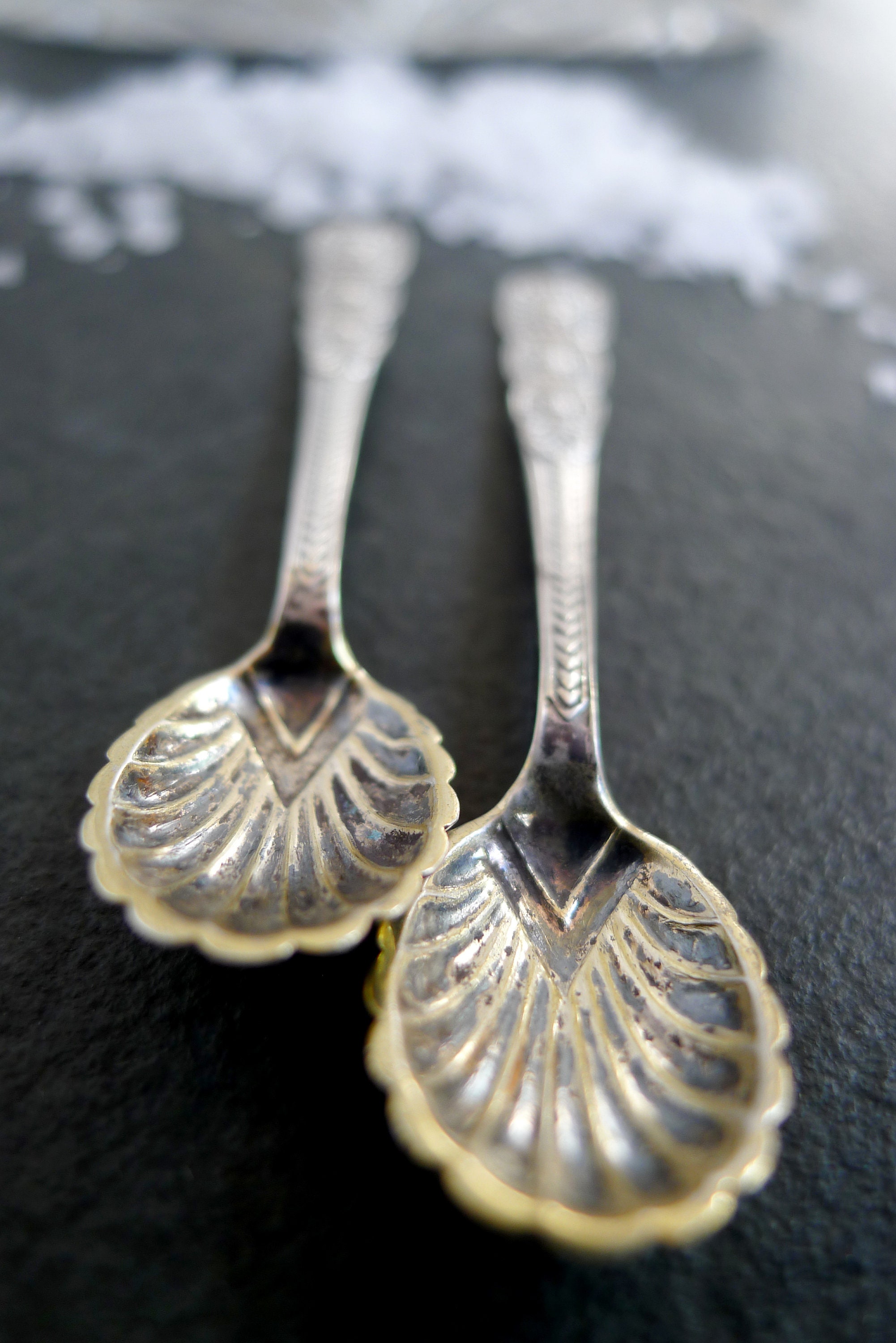 Antique Tiffany & Co Sterling Set of 2 Salt Spoons Rare Sea Shell