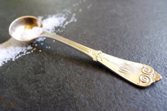 Antique Tiffany & Co BEEKMAN/TIFFANY Sterling Master Salt Spoon