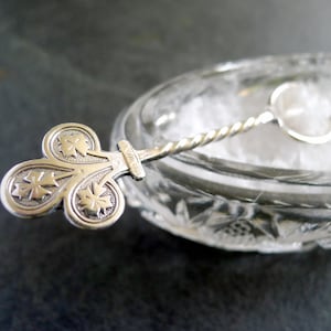 Rare 1871-1876 English Silver Salt Spoon Twist Handle Oak Leaves Jehoiada Alsop Rhodes