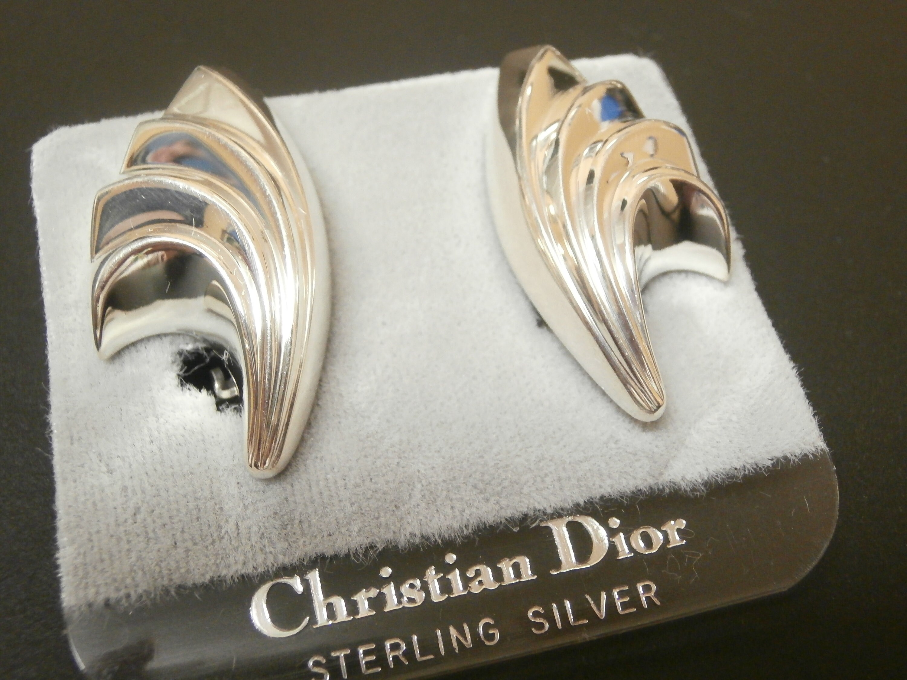Christian dior hoop earrings outlet