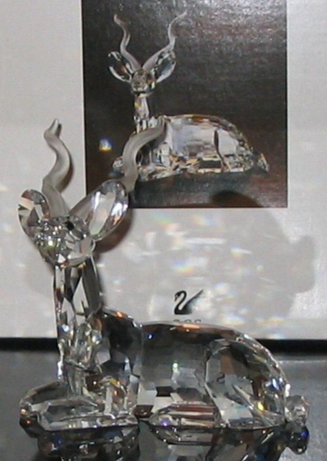 Swarovski Crystal SCS 1994 Annual 