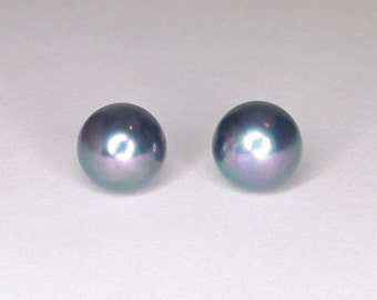 7.5mm Black Pearl Earrings / Colourful Akoya Studs