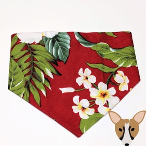 MPI Hawaiian print pet bandana