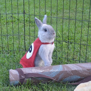 Superhero cape for small animals, bunny cape, pet cape, guinea pig cape, bunny clothes, pet outfit, pet halloween costume, pet costume