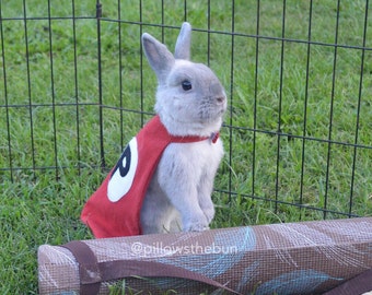 Superhero cape for small animals, bunny cape, pet cape, guinea pig cape, bunny clothes, pet outfit, pet halloween costume, pet costume