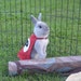 see more listings in the Pet Costumes section