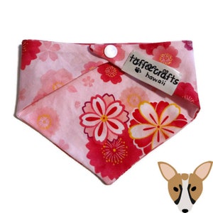 Hanami pet bandana