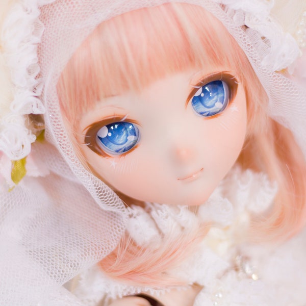 ShiNes Workshop ※ Custom Dollfie Dream DDH Commission SET A