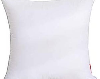 20 x 20 foam pillow insert