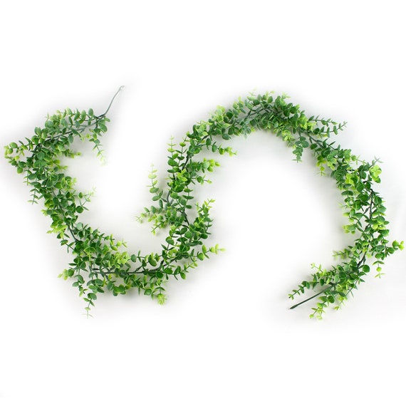 Set of 2 Eucalyptus Strands