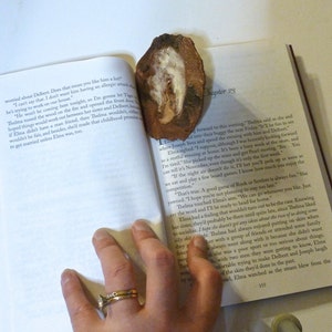 Bald Eagle Stone Painting - bookmark or spoon trivate