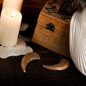 May include: A wooden box with a metal latch, a white fabric draped over it, and two white candles with melted wax on a dark wooden surface. There are two gold metal horns on the surface.