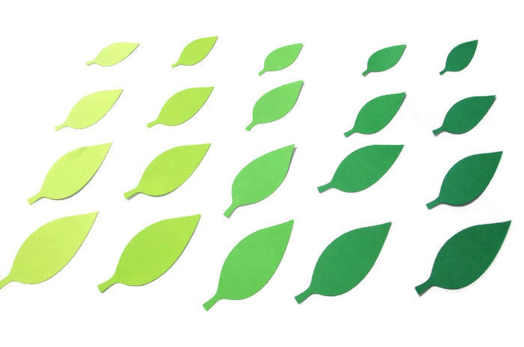 Paper Leaf Cut Outs Leaf Die Cuts Green Leaf Die Cuts Leaf Cutouts Fall Leaves Cut Outs Green