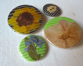 Flower buttons, set of 4 dried flowers