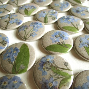 Könnte beinhalten: Eine Sammlung kleiner, oval geformter Dekorationssteine. Jeder Stein zeigt eine gepresste blaue Vergissmeinnicht-Blume mit grünen Blättern. Die Blumen sind vor einem neutralen, strukturierten Hintergrund angeordnet. Die Steine variieren leicht in Größe und floraler Anordnung.