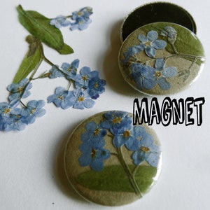 Vergeet-mij-nietje, 25mm button of magneet met gedroogde bloem Magnet 25mm