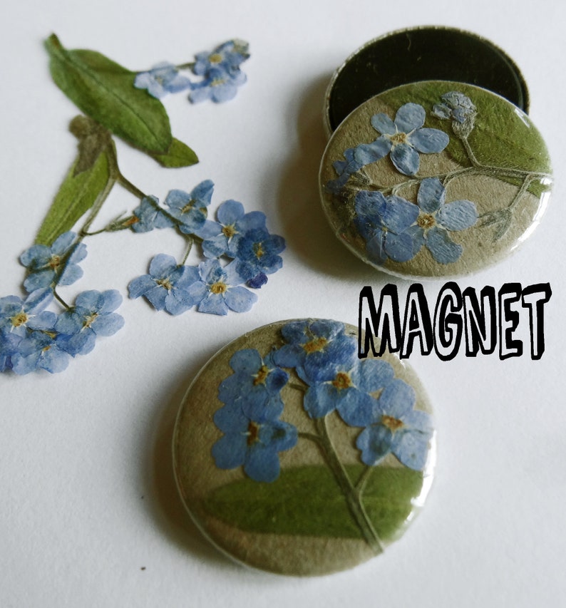 Vergeet-mij-nietje, 25mm button of magneet met gedroogde bloem Magnet 25mm