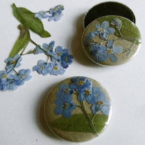 Vergeet-mij-nietje, 25mm button of magneet met gedroogde bloem afbeelding 2