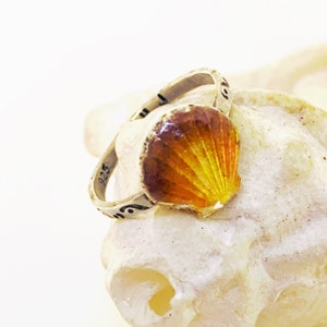 Enamel Sunrise Seashell Silver Ring with swirl stamped band