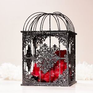 Boîte à cartes gothique pièce maîtresse de mariage cage à oiseaux pour taxidermie gothique décor à la maison Halloween décor à la maison