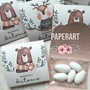 nr. 10 (dieci) tasche porta-confetti- Mod. Woodland II