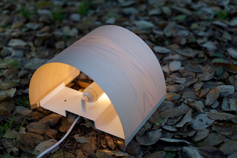 May include: A white wooden wall lamp with a curved shade and a light bulb. The lamp is on a bed of brown leaves.