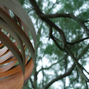 May include: A close-up of a wooden lampshade with a spiral design. The lampshade is made of thin strips of wood that are woven together. The lampshade is hanging from the ceiling and is partially obscured by a tree branch.