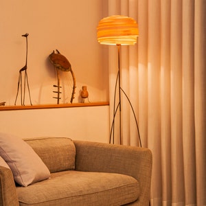 May include: A living room with a couch, two pillows, a floor lamp with a wooden shade, and a shelf with various decorative items. The room is decorated in a warm, inviting style.
