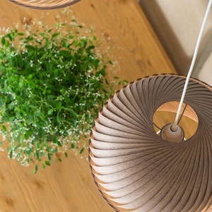 May include: Two brown wooden pendant lights with a unique, layered design hang from the ceiling over a wooden table with a green plant.