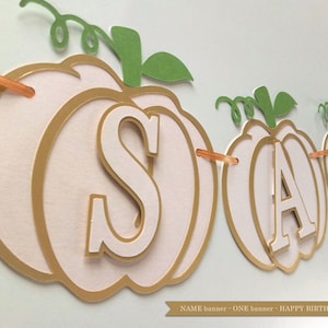 Pumpkin Banner, Birthday Pumpkin Banner, Pumpkin Birthday Party, Name Pumpkin banner, ONE Highchair Banner, Little Pumpkin, Personalized
