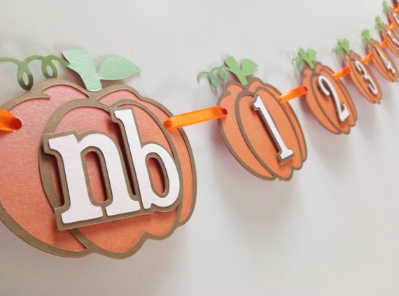 Kürbis Fotobanner Zum 1. Geburtstag – 13-teiliges Meilenstein-Banner Für Baby-Fotos (blau, Herbst-Thema)