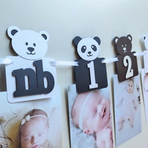 Banner de foto de oso, Banner de 12 meses de oso, Banner de foto mensual, Banner de primer cumpleaños de Panda, Banner de foto de primer año, Oso polar de panda bebé