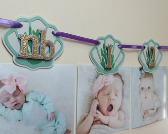 Mermaid Photo Banner, Mermaid 12 Month Banner, Monthly Photo Banner, Shell photo banner, Mermaid First Birthday Banner, First Year Banner