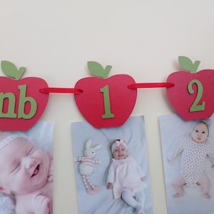 Banner de foto de Apple, Banner de 12 meses de Apple, Banner de foto mensual, Banner de primer cumpleaños de Apple, Banner de foto de primer año, Nuestra pequeña manzana