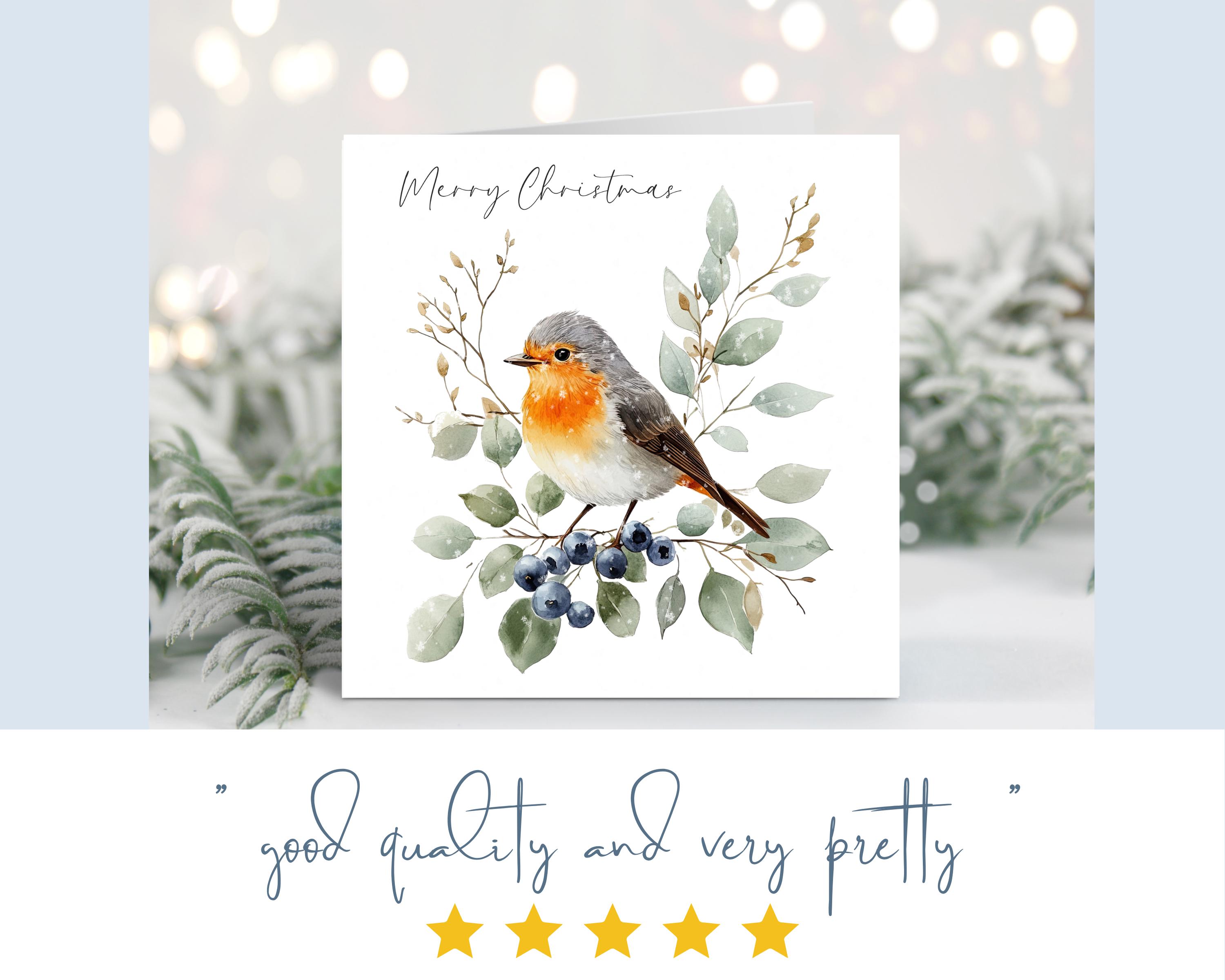 Traditional, Luxury Christmas Robin Cards • Pack of 6 - Etsy