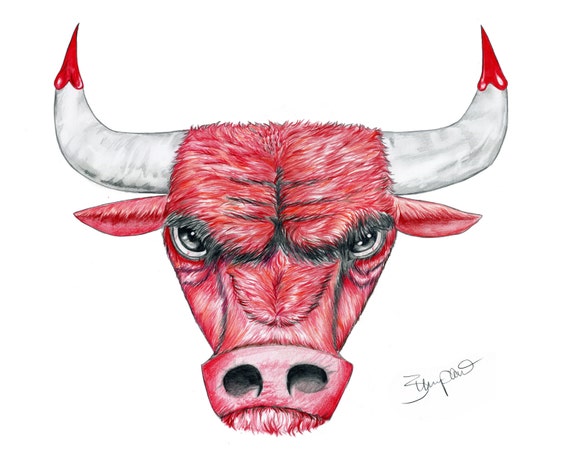 Dibujo a lápiz del logotipo del toro de Chicago 11x14 - Etsy España