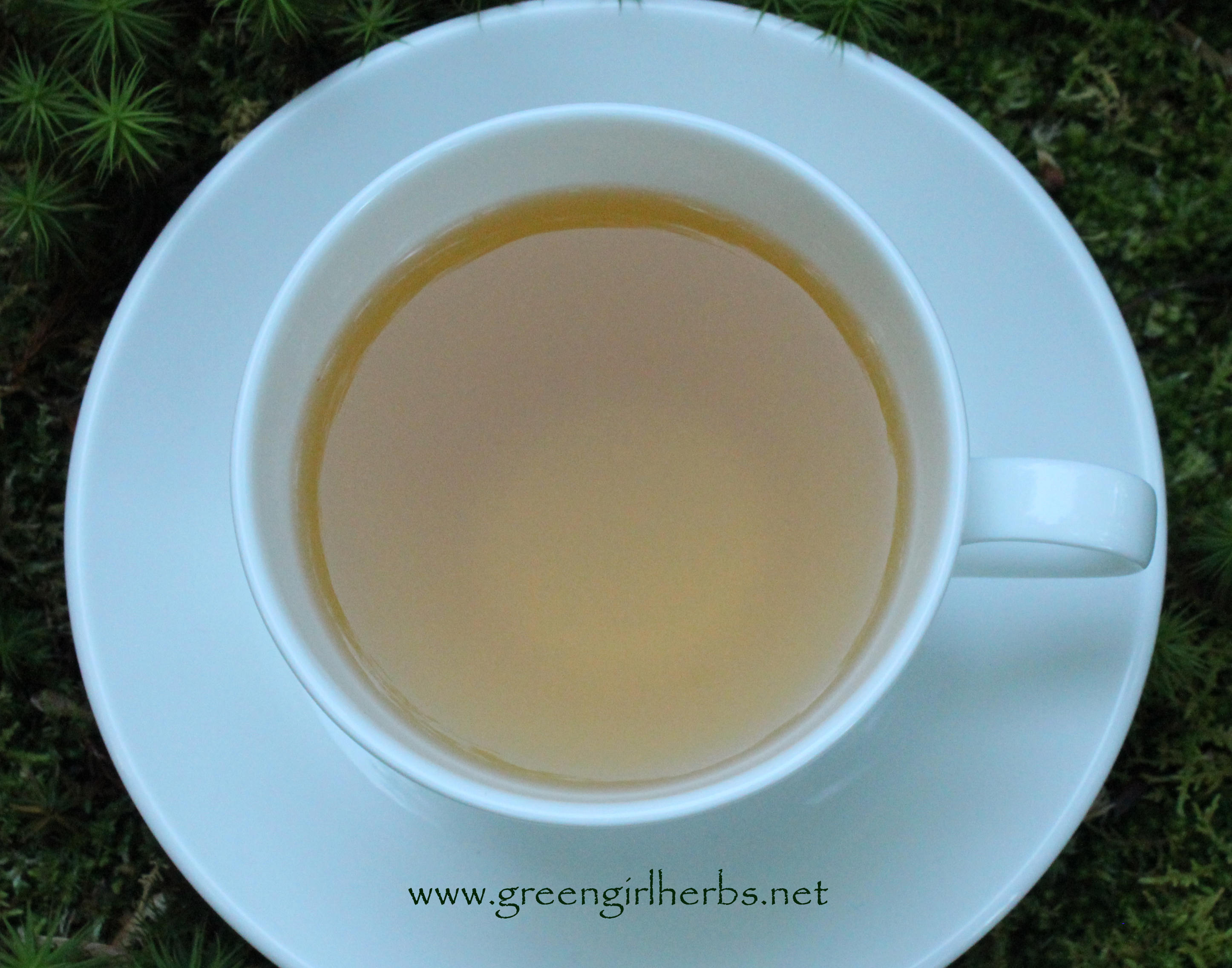 Green Girl's Organic Green Tea With Young Hyson Green Tea, Lemongrass